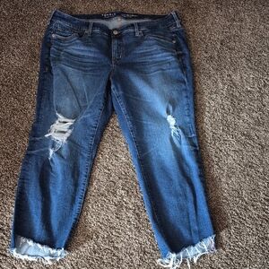 Torrid Perfect Boyfriend Ankle Vintage Stretch Womens Jeans Size 16 Short
